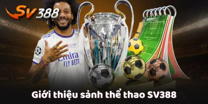 Sân chơi đá gà luôn sôi động với hàng ngàn kèo cược. 