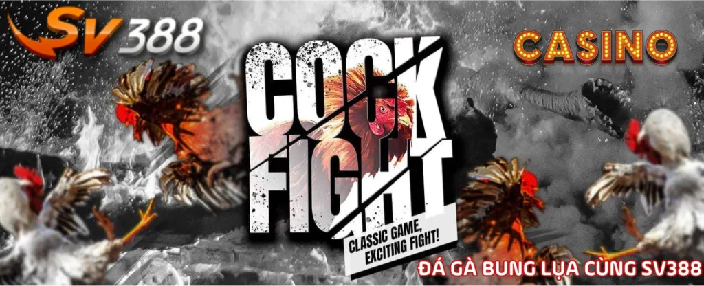Cược đá gà thoải mái cùng SV388