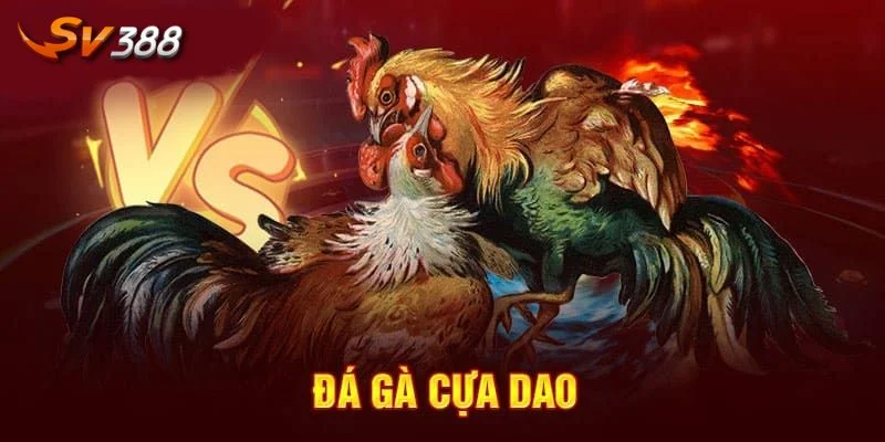 Hàng loạt điểm nổi bật giúp sảnh cược có lượng người chơi đông.