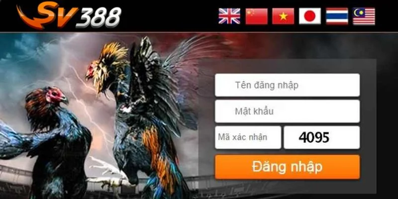 Liên hệ nhà cái khi tài khoản chơi của bạn đột ngột bị khóa.