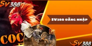 dang-nhap-sv388