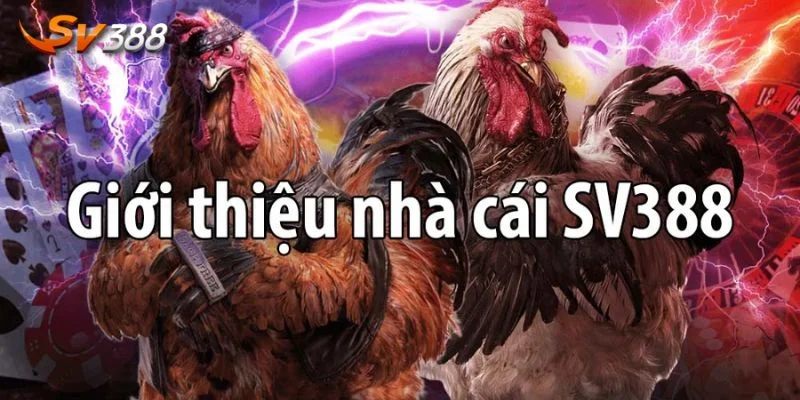 Giới thiệu SV388 đến bạn những thông tin tổng quan nhất.