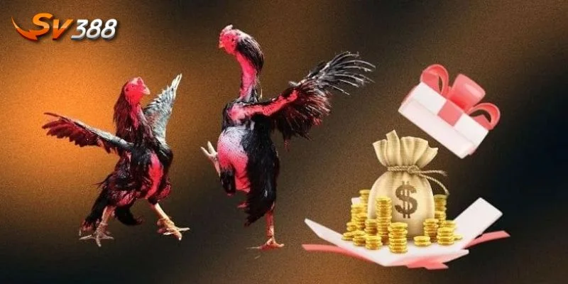 Lưu ý nhỏ giúp tay cược nhận quà tặng SV388 thả ga.