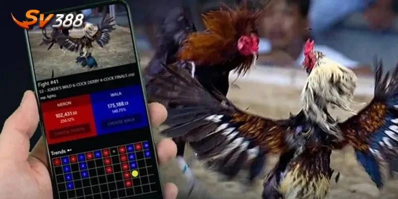 Mẹo đặt cược đá gà khôn ngoan giúp tay chơi thắng lớn trên bàn cược.