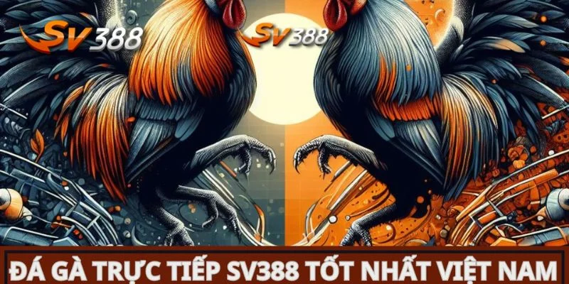 trực tiếp đá gà